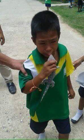 Bocah digigit tokek © 2016 brilio.net