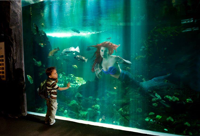 dina goldstein  © 2016 brilio.net dina goldstein  © 2016 brilio.net