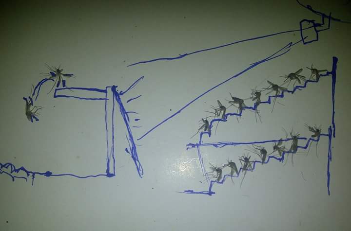 aksi nyamuk mati  © 2016 brilio.net