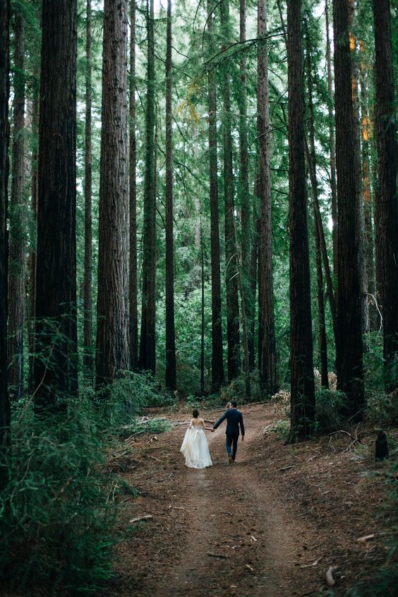 foto pernikahan di alam 1-20 © 2016 brilio.net foto pernikahan di alam 1-20 © 2016 brilio.net