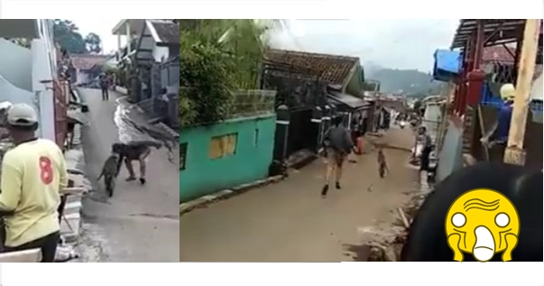 Video rem blong ini tadinya bikin serem tapi belakangan bikin ngakak