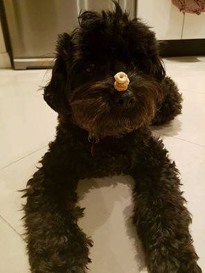 bayi lucu 1-19 © 2016 brilio.net