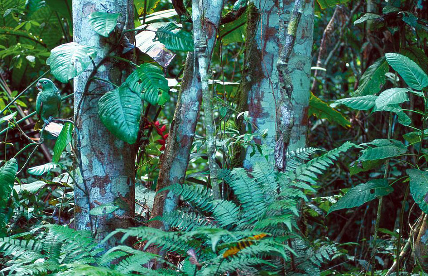 art wolfe © 2016 brilio.net