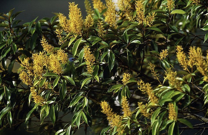 art wolfe © 2016 brilio.net