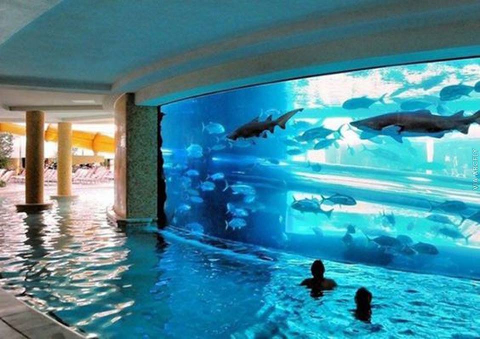 kolam renang cantik © 2016 brilio.net kolam renang cantik © 2016 brilio.net