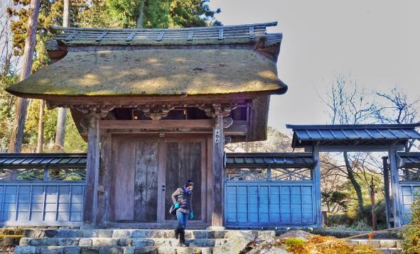 artis traveling © 2016 brilio.net