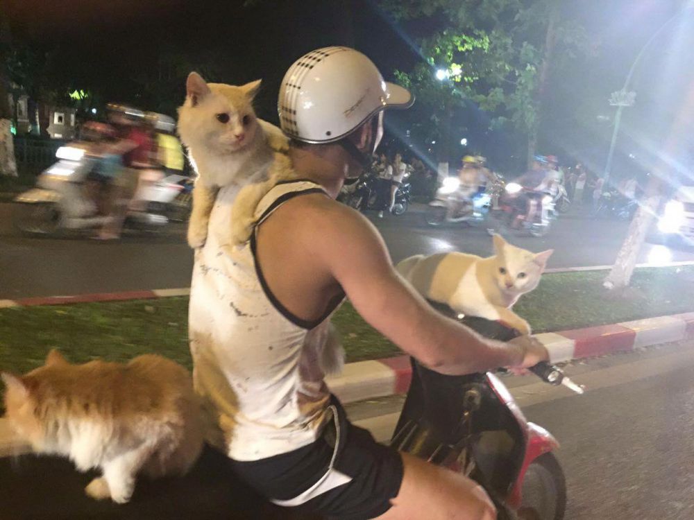 20 Foto unik dan bikin bingung © 2016 brilio.net