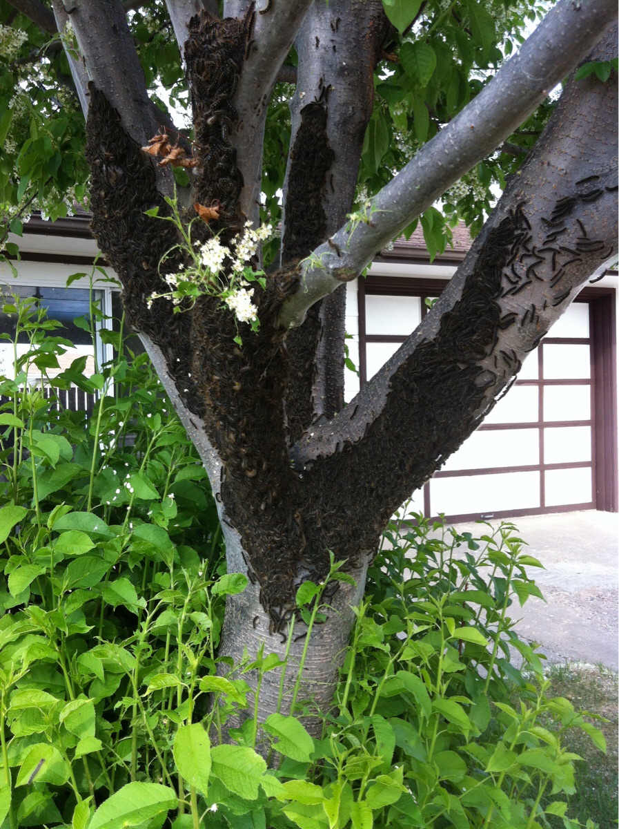 20 Foto unik dan bikin bingung © 2016 brilio.net