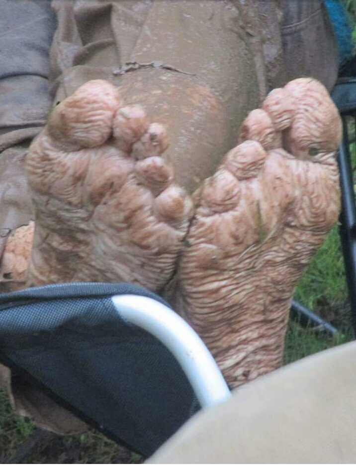 20 Foto unik dan bikin bingung © 2016 brilio.net