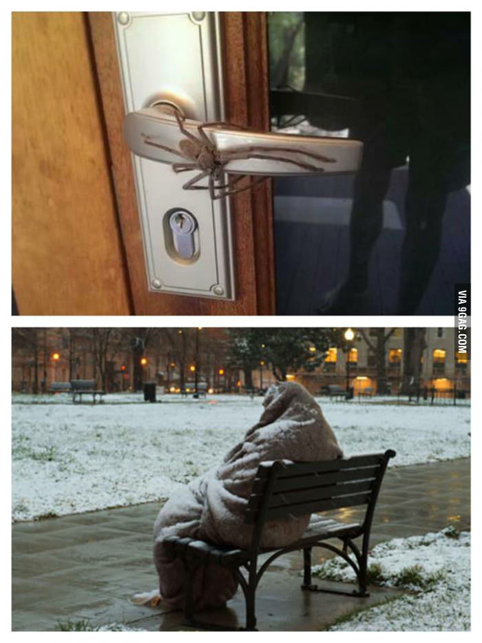 pahami lucunya © 2016 brilio.net pahami lucunya © 2016 brilio.net