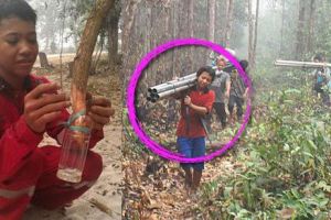 10 Pejuang hutan dari Indonesia, mereka menjaga paru-paru dunia