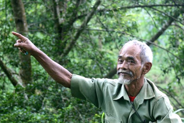 10 Pejuang hutan dari Indonesia, mereka menjaga paru-paru dunia