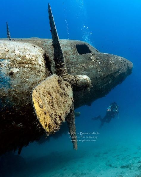 bangkai pesawat © 2016 brilio.net bangkai pesawat © 2016 brilio.net