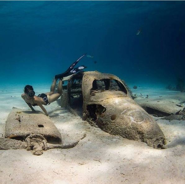 bangkai pesawat © 2016 brilio.net bangkai pesawat © 2016 brilio.net