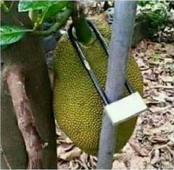 kelakuan orang Indonesia ini juga bikin ngakak © 2016 brilio.net