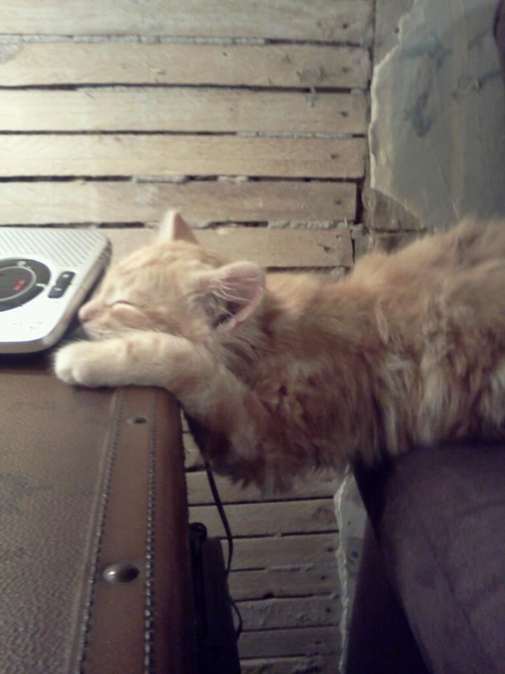 Alarm bangun pagi © 2016 brilio.net Alarm bangun pagi © 2016 brilio.net