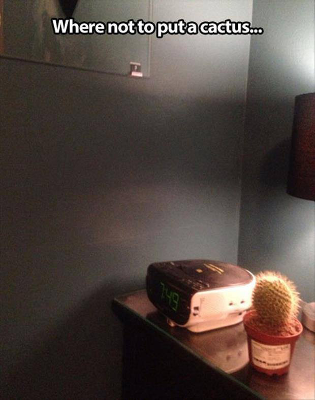 Alarm bangun pagi © 2016 brilio.net Alarm bangun pagi © 2016 brilio.net