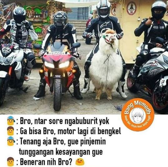 obrolan dan foto kocak 1-15 © 2016 brilio.net obrolan dan foto kocak 1-15 © 2016 brilio.net