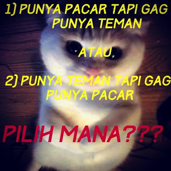 meme pilihan  © 2016 brilio.net meme pilihan  © 2016 brilio.net