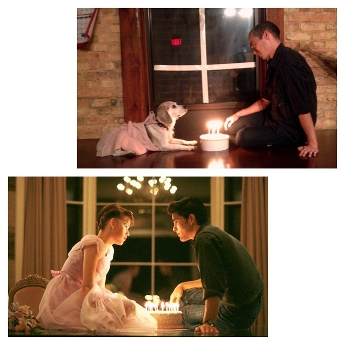 Anjing tirukan film © 2016 brilio.net / reddit