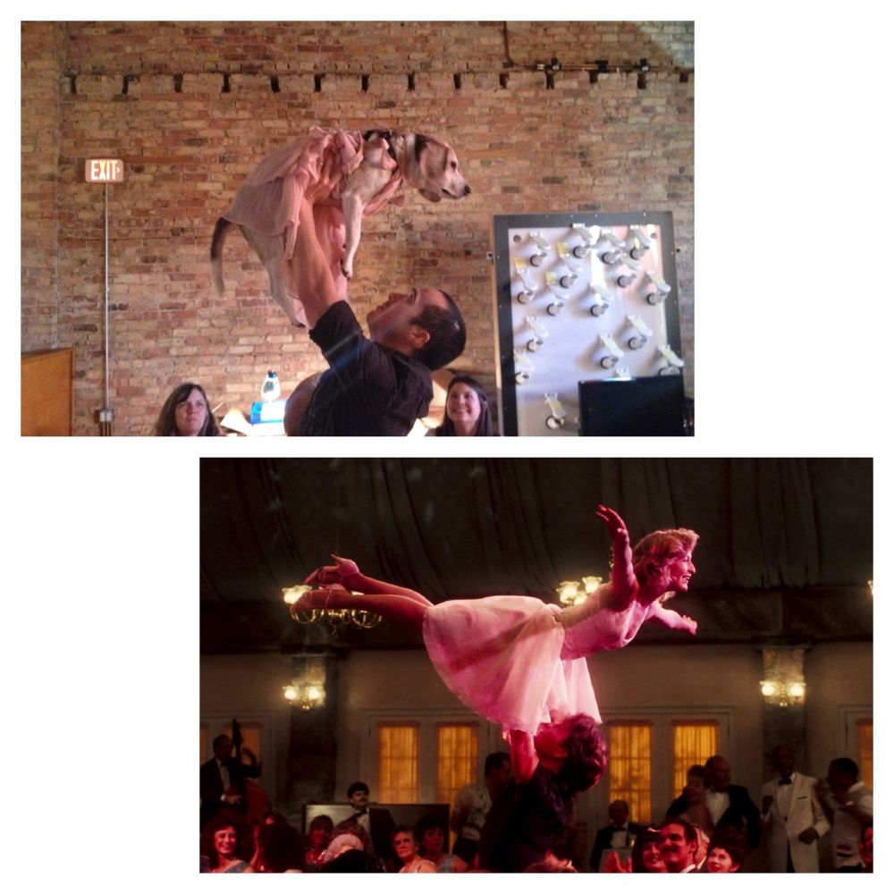 Anjing tirukan film © 2016 brilio.net / reddit