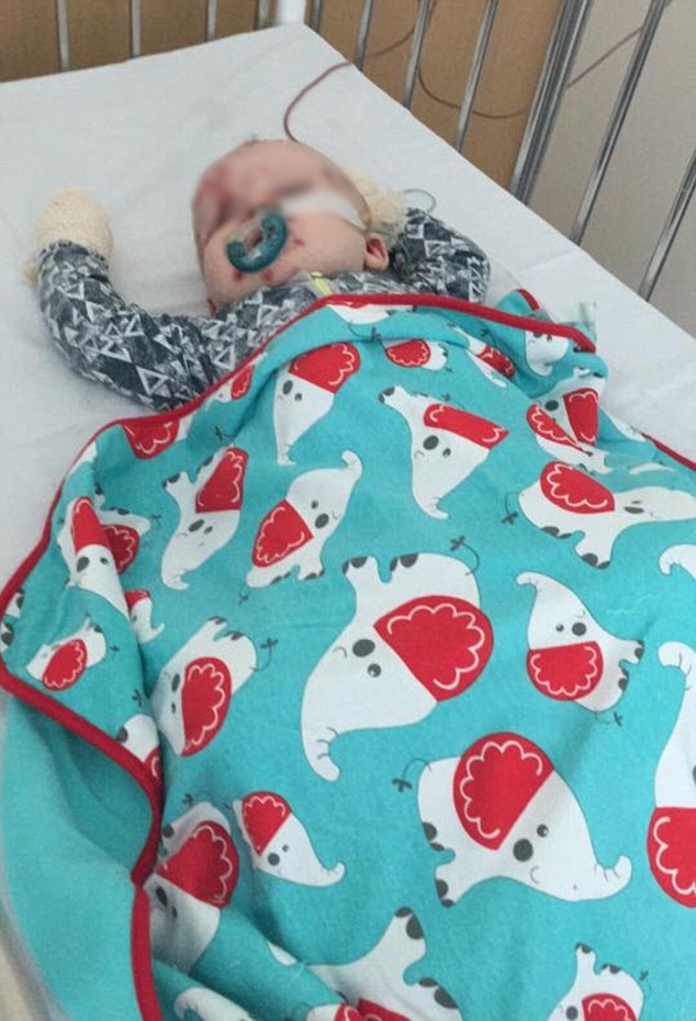 Elijah © 2016 brilio.net Elijah © 2016 brilio.net