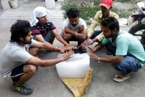 15 Foto ini tunjukkan bumi makin panas, bisa bangkitkan listrik