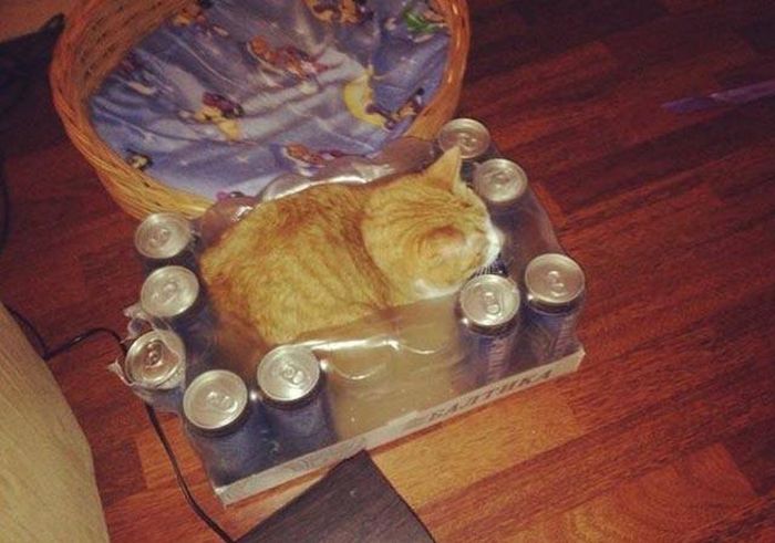 INTEL_BUMI PANAS © 2016 brilio.net