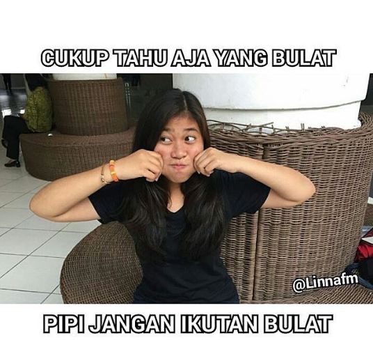 meme cewek dibilang gendut 1-15 © 2016 brilio.net