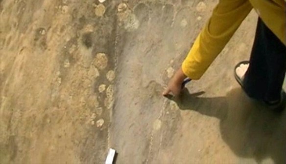 jejak raksasa  © 2016 brilio.net