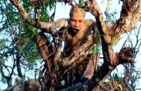 Hantu Nggak Terkenal  © 2016 brilio.net