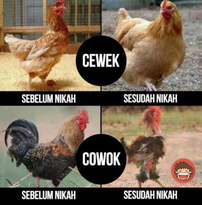 meme beda cowok dan cewek 1-22 © 2016 brilio.net