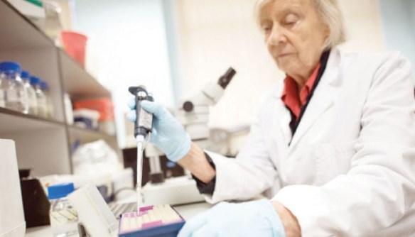 proyek sains © 2016 brilio.net proyek sains © 2016 brilio.net