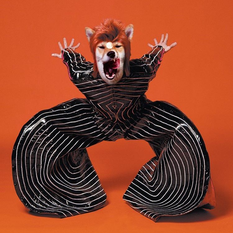 anjing ini diedit jadi tokoh populer dunia © 2016 brilio.net