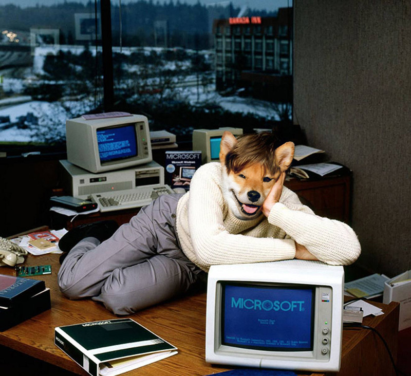 anjing ini diedit jadi tokoh populer dunia © 2016 brilio.net