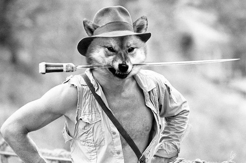 anjing ini diedit jadi tokoh populer dunia © 2016 brilio.net