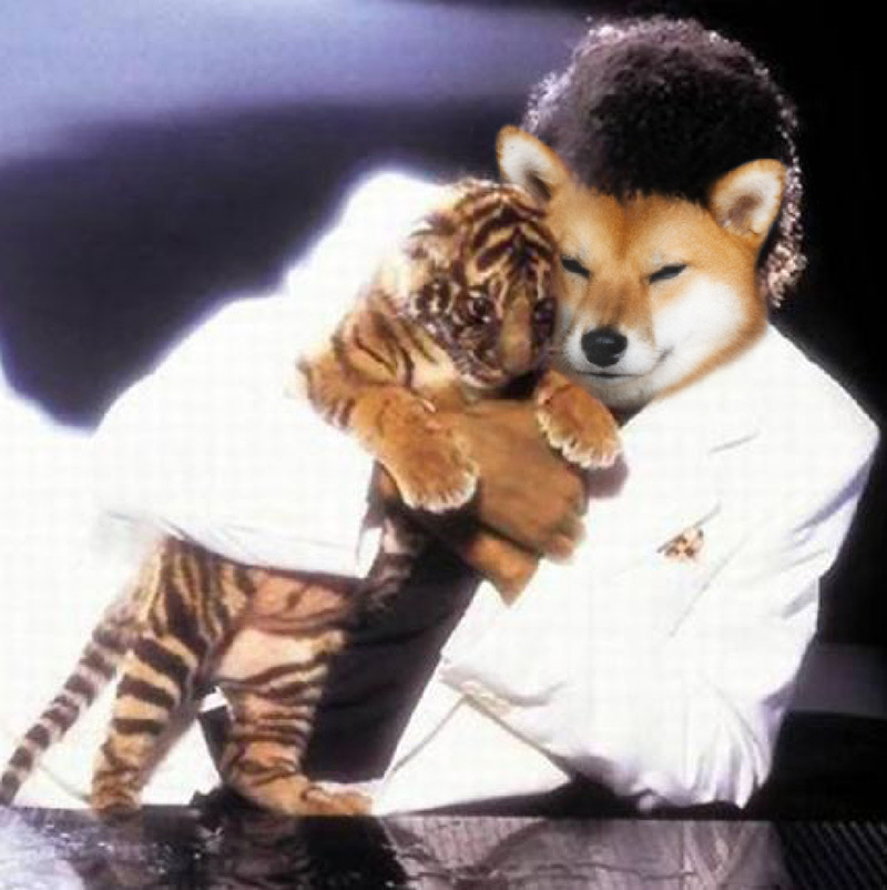 anjing ini diedit jadi tokoh populer dunia © 2016 brilio.net