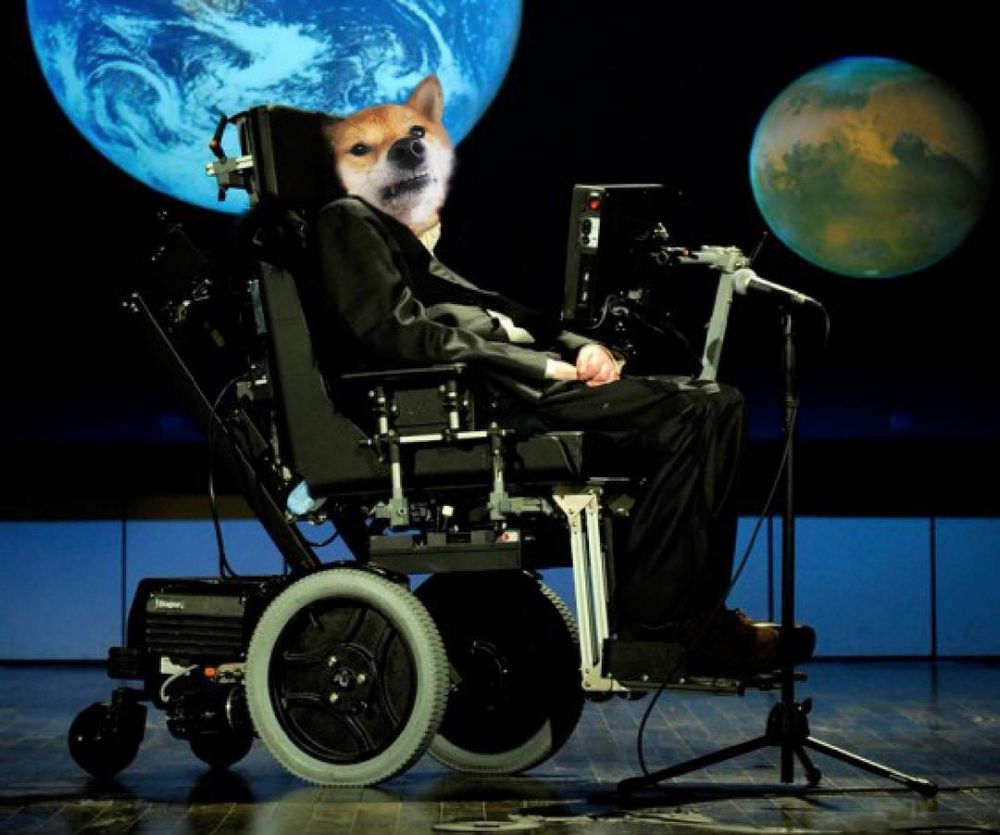 anjing ini diedit jadi tokoh populer dunia © 2016 brilio.net