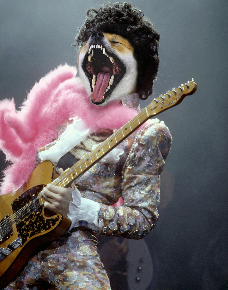 anjing ini diedit jadi tokoh populer dunia © 2016 brilio.net