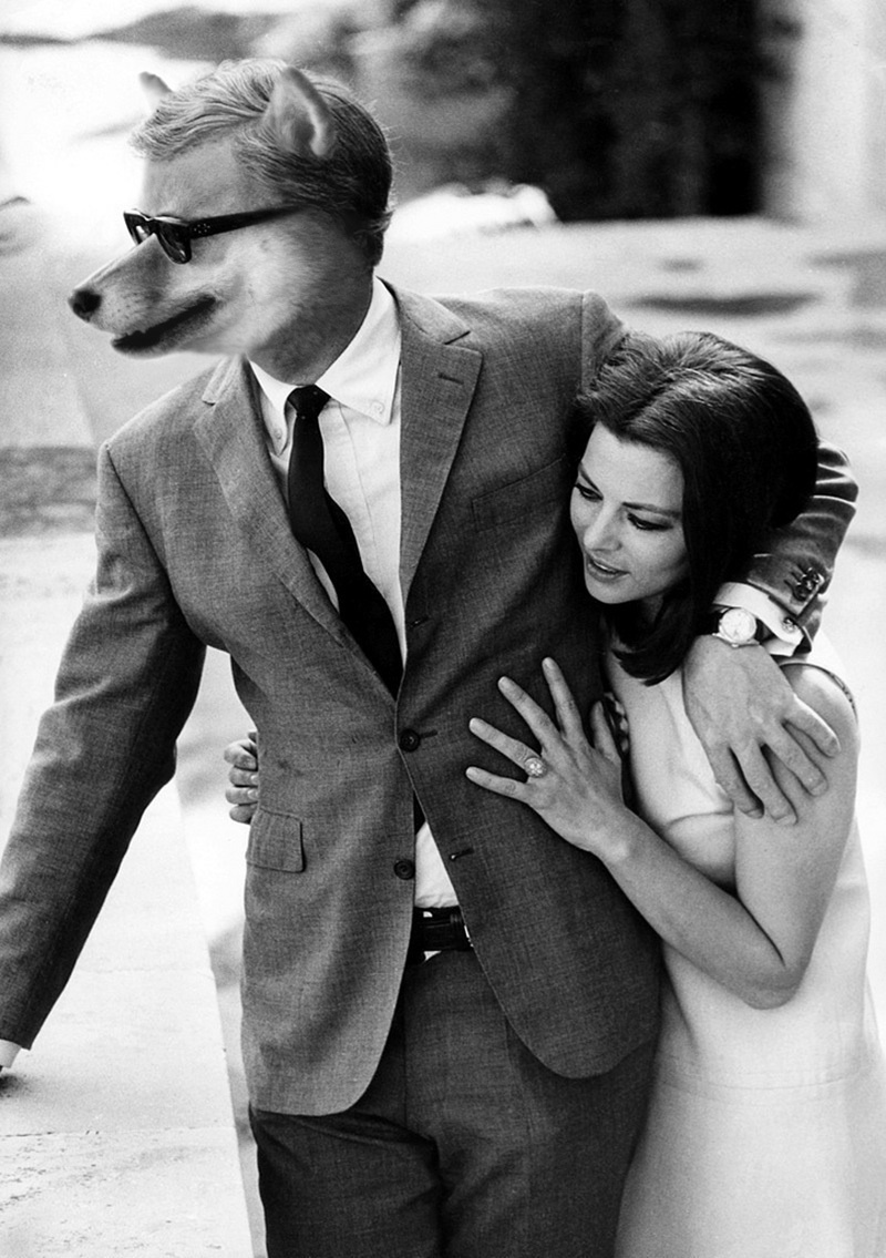 anjing ini diedit jadi tokoh populer dunia © 2016 brilio.net