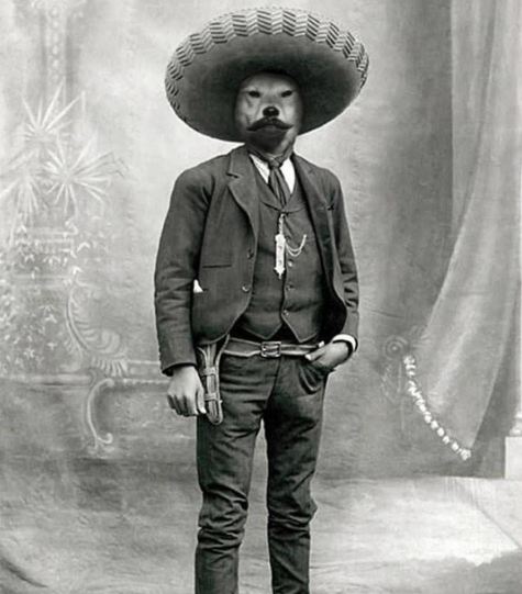 anjing ini diedit jadi tokoh populer dunia © 2016 brilio.net