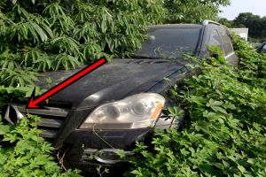 10 Foto mobil mewah terbengkalai ini bikin ngelus dada, duh! 