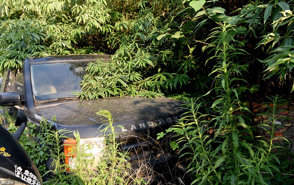 Di tempat ini mobil mewah dibiarkan begitu saja © 2016 brilio.net