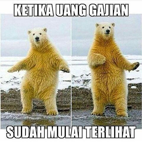 meme tanda-tanda udah gajian 1-11 © 2016 brilio.net