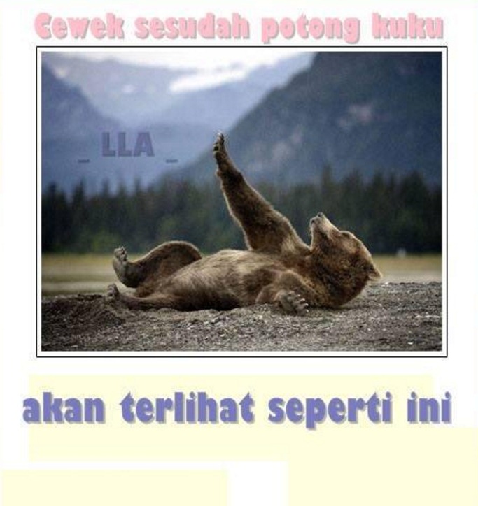 fakta kocak  © 2016 brilio.net