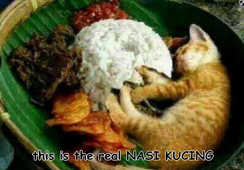 fakta kocak  © 2016 brilio.net