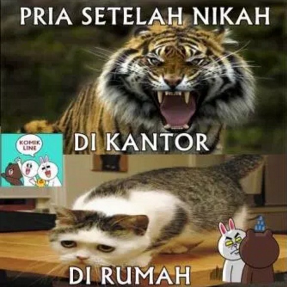 fakta kocak  © 2016 brilio.net