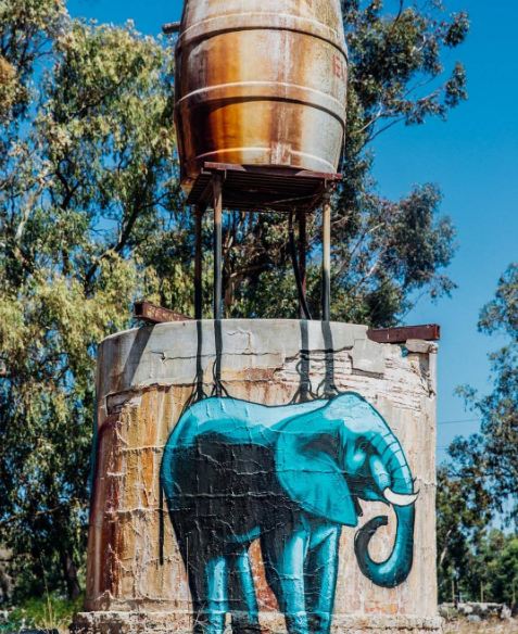 mural tema gajah unik © 2016 brilio.net