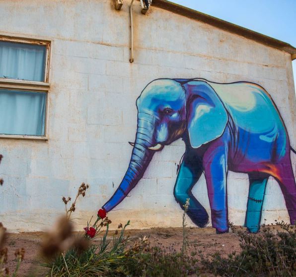 mural tema gajah unik © 2016 brilio.net