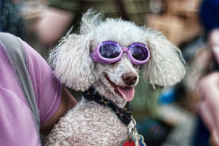 inovasi sederhana © 2016 brilio.net